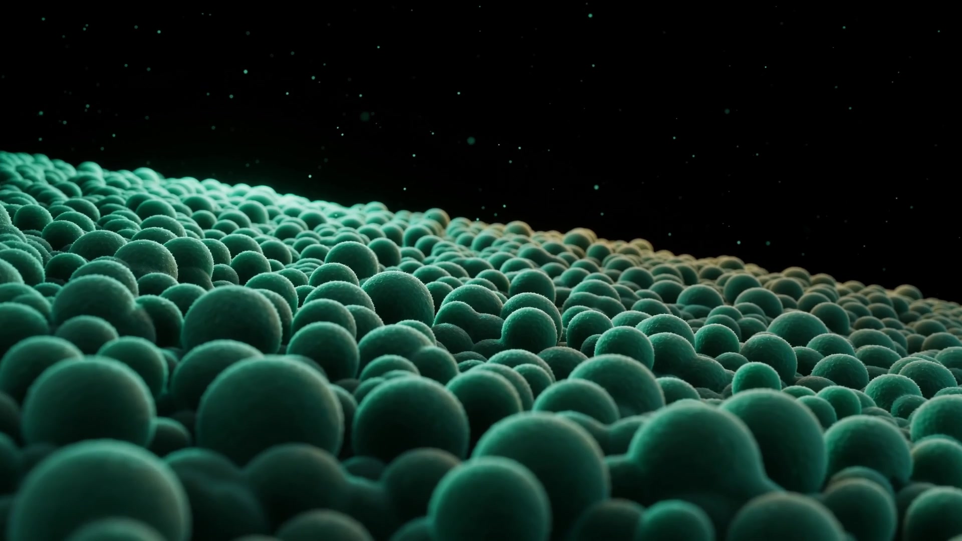 Macro view of the cenosphere-filled NIPU insulation foam from the opening of the film